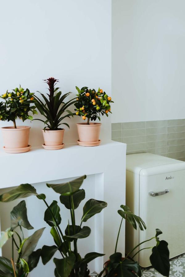 Musa Bed & Breakfast Antwerpen
