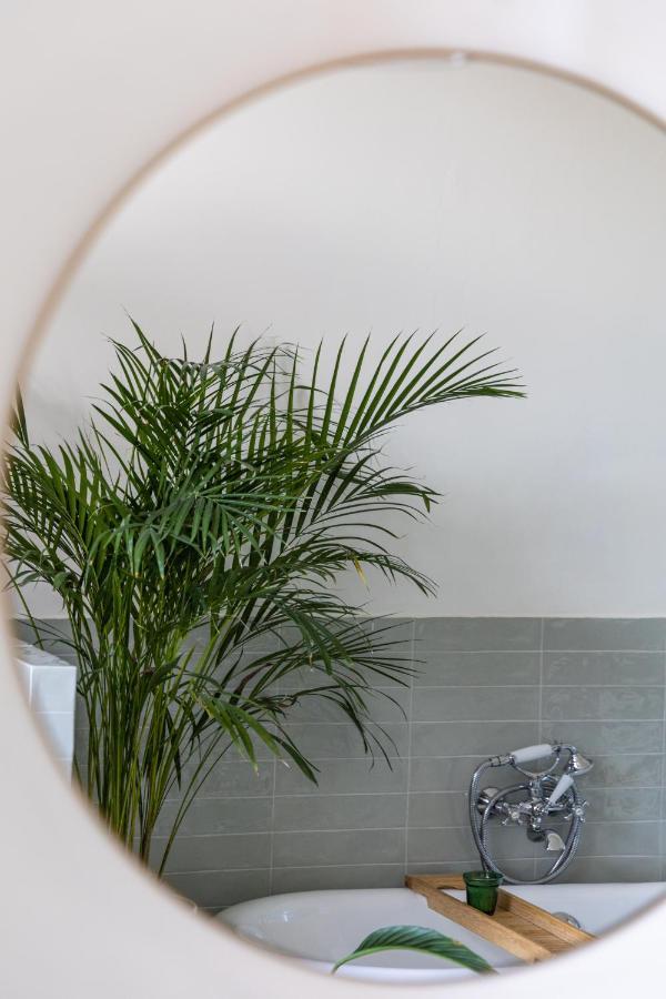 Bed & Breakfast Musa Antwerpen
